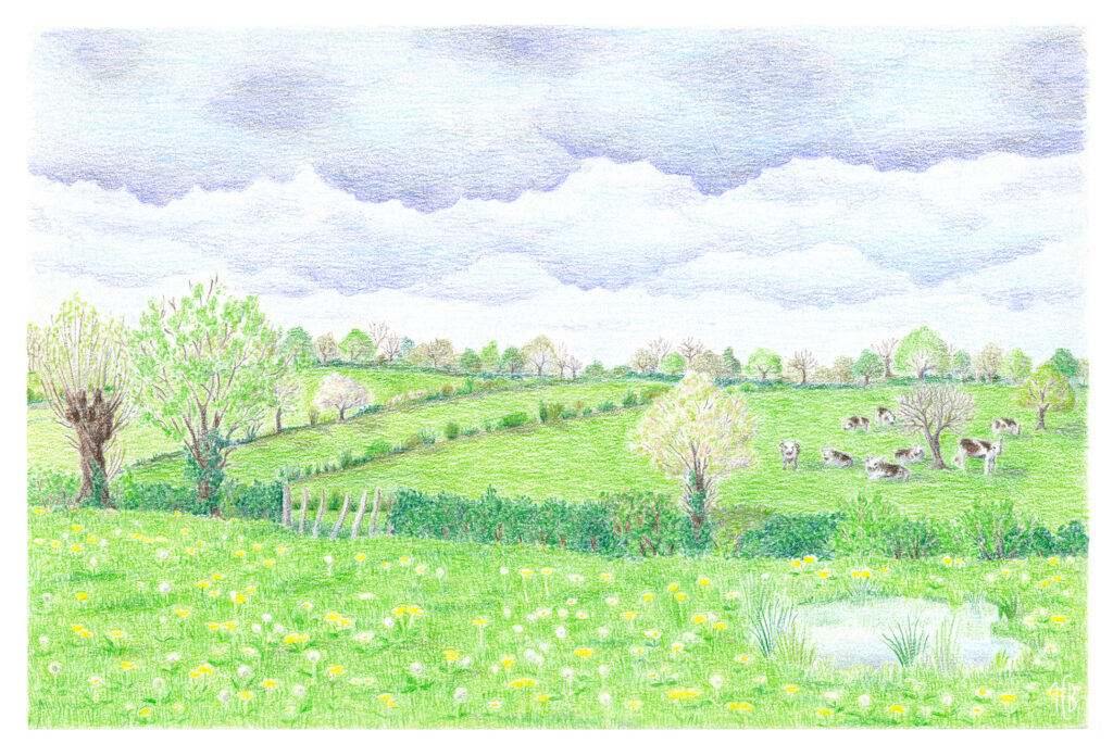 Bocage
